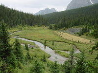 DSC00985.jpg