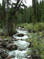 banff2002_0902AD.jpg