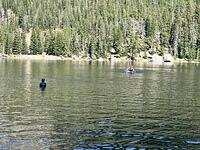 IMG 1085