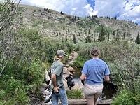 IMG 1124