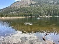 IMG 1154