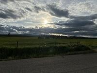 IMG 0002