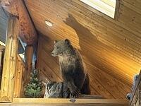 IMG 0005