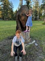 IMG 0082