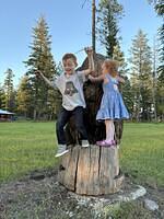 IMG 0084