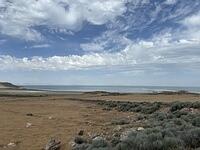 IMG 0093