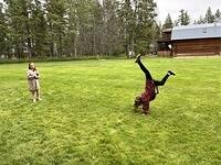 IMG 0902