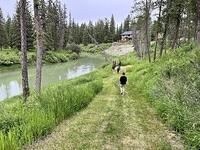 IMG 0909