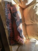 IMG 0931